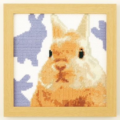 ウサギ（ネザーランド・ドワーフ）