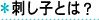 刺し子とは？