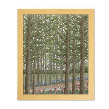 カラマツ林の小道