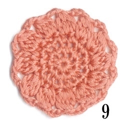 コットンノービア＜ヴァリエ＞