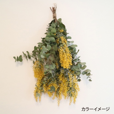 GARDEN PARTY　刺しゅう糸セット－スプール付き－