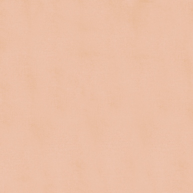 STITCH  CLOTH　GARDENPARTY　フランス刺しゅう　コットン