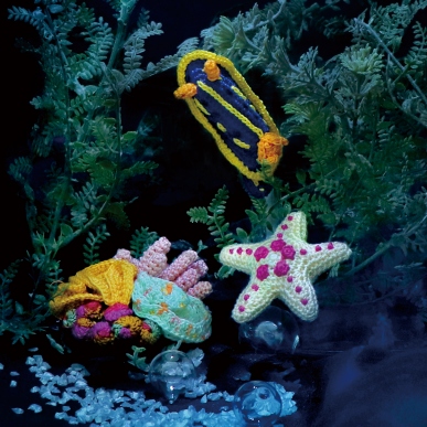 アオウミウシと海底散歩