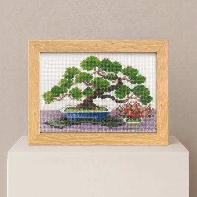 1月 錦松と寒木瓜 